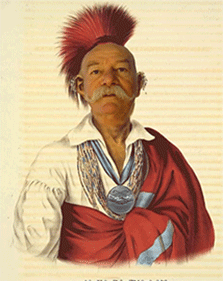 click for an enlarement